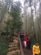 公司旅游照片8